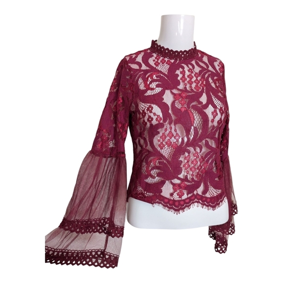 Raspberry Red Long Sleeve Lace Sheer Blouse Whimsy Goth Victorian - Picture 2 of 6